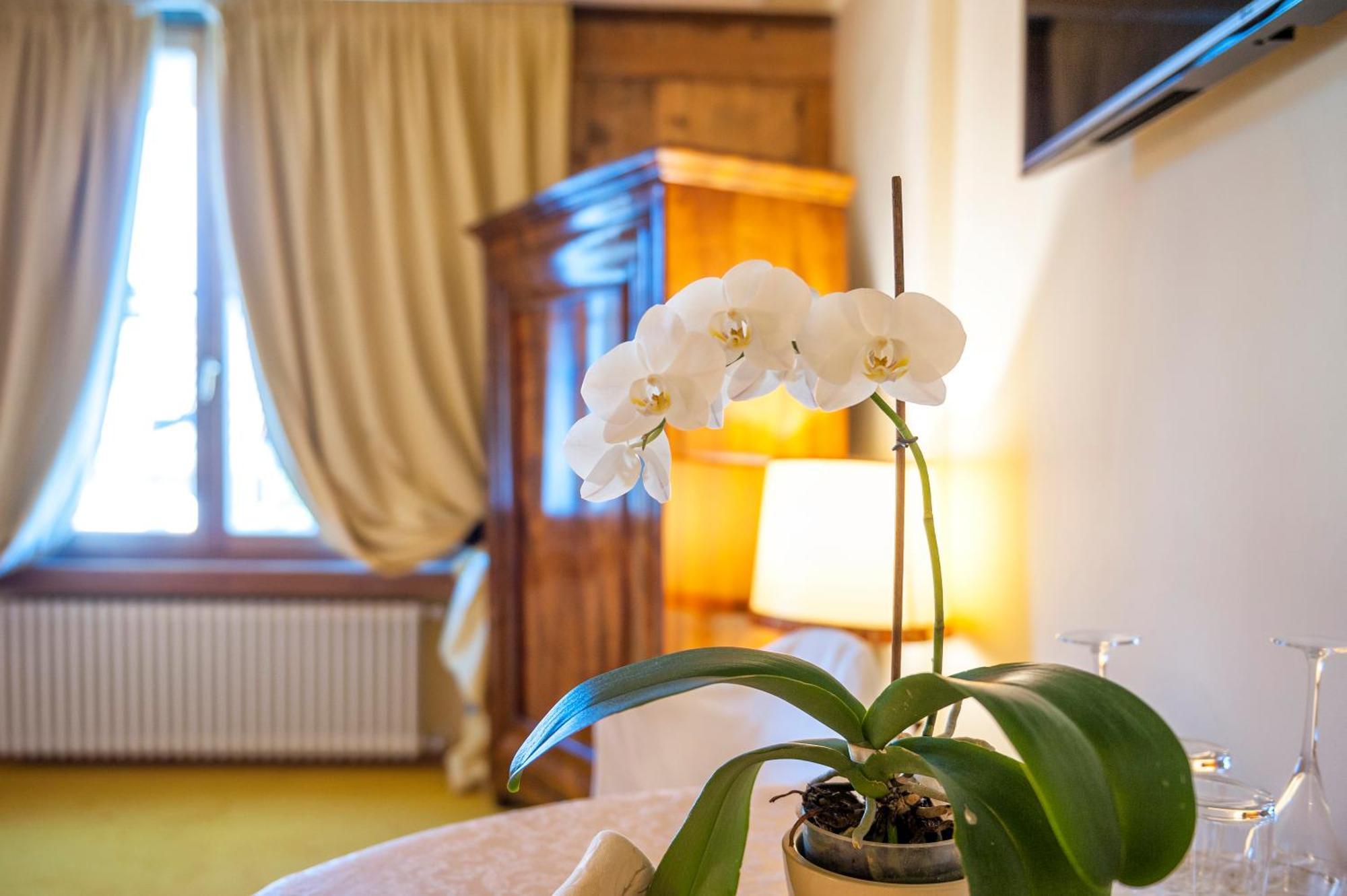 Villa Orso Grigio Ронцоне Экстерьер фото